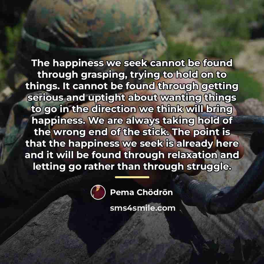 “The happiness we seek cannot be found through grasping, trying…” quote by Pema Chodron