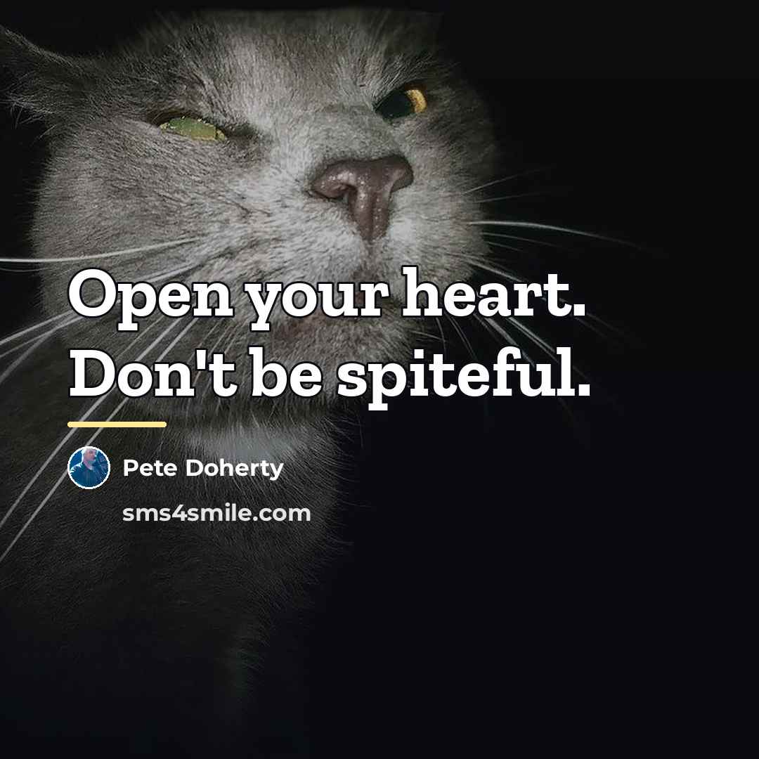 “Open your heart. Don't be spiteful.…” quote by Pete Doherty