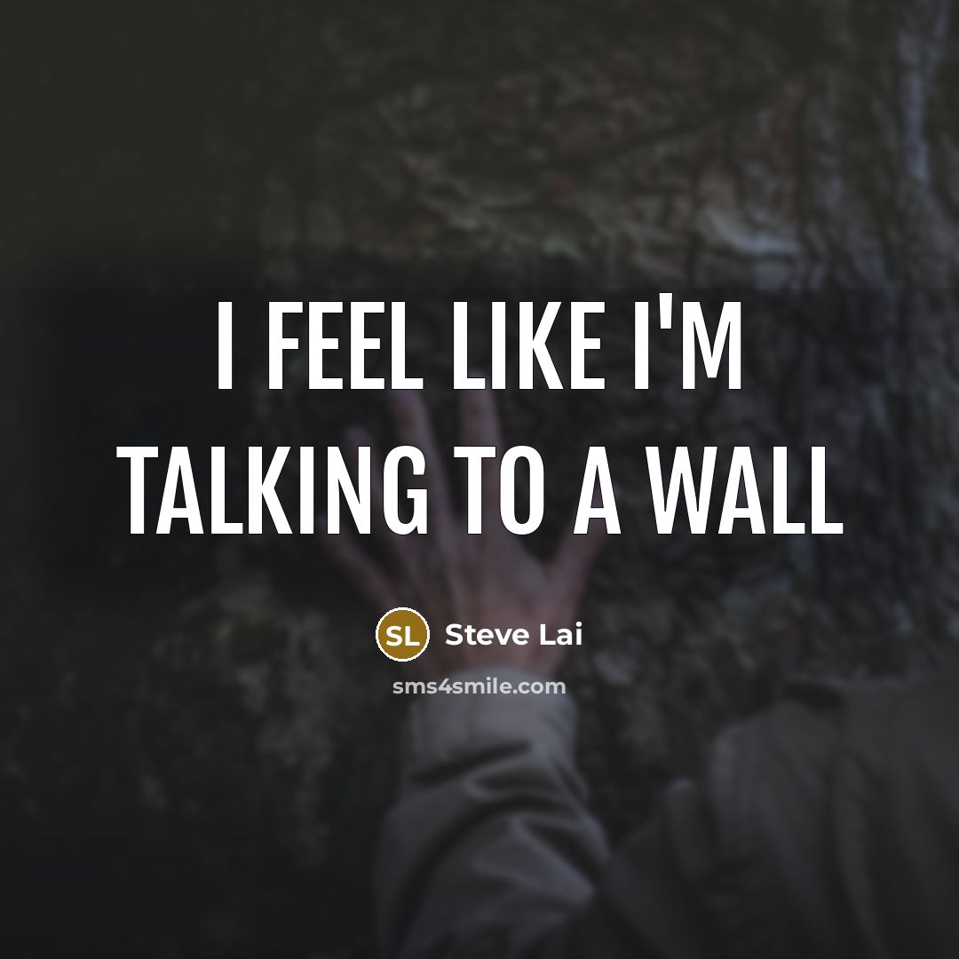 “I feel like I'm talking to a wall…” quote by Steve Lai