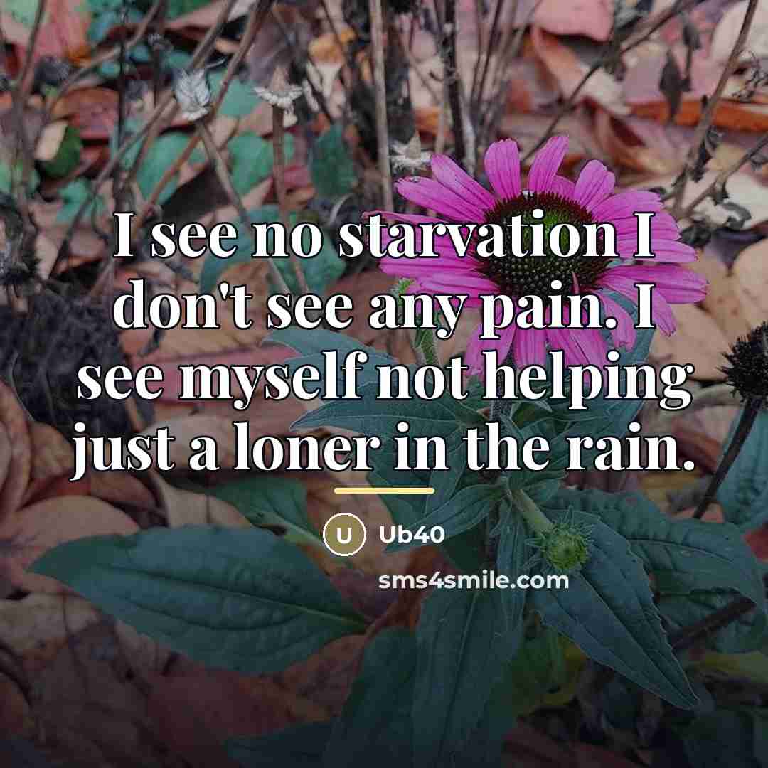 “I see no starvation I don't see any pain. I…” quote by Ub40