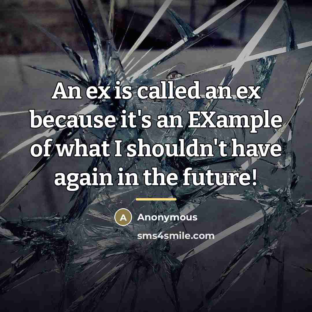 “An ex is called an ex because it's an EXample…” quote by Anonymous