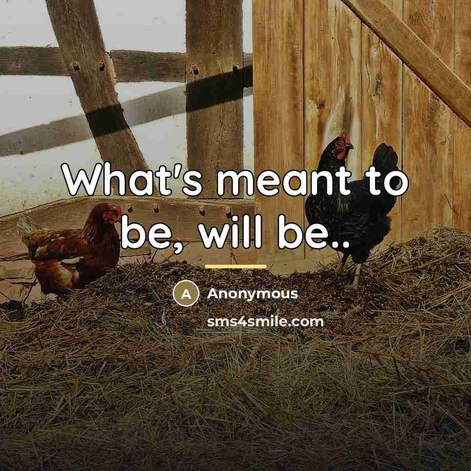 “What's meant to be, will be..…” quote by Anonymous