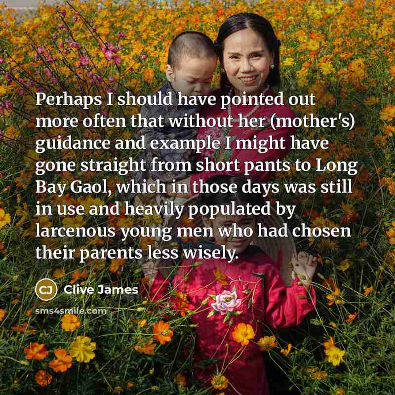 “Perhaps I should have pointed out more often that without…” quote by Clive James