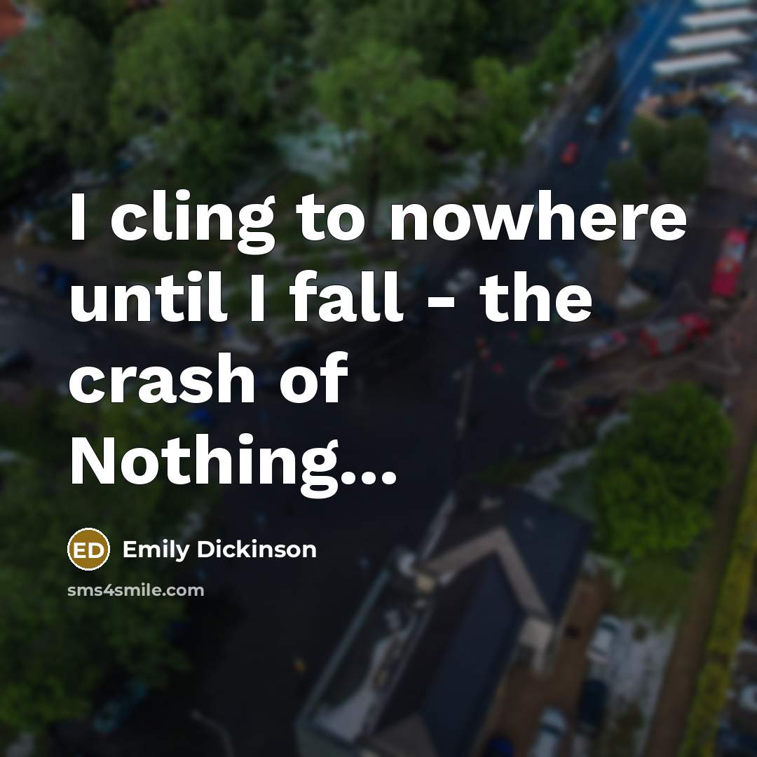 “I cling to nowhere until I fall - the crash…” quote by Emily Dickinson
