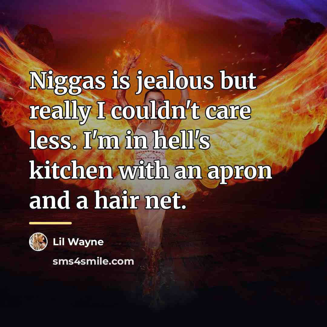 “Niggas is jealous but really I couldn't care less. I'm…” quote by Lil Wayne
