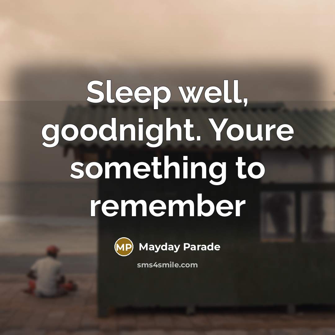 “Sleep well, goodnight. Youre something to remember…” quote by Mayday Parade