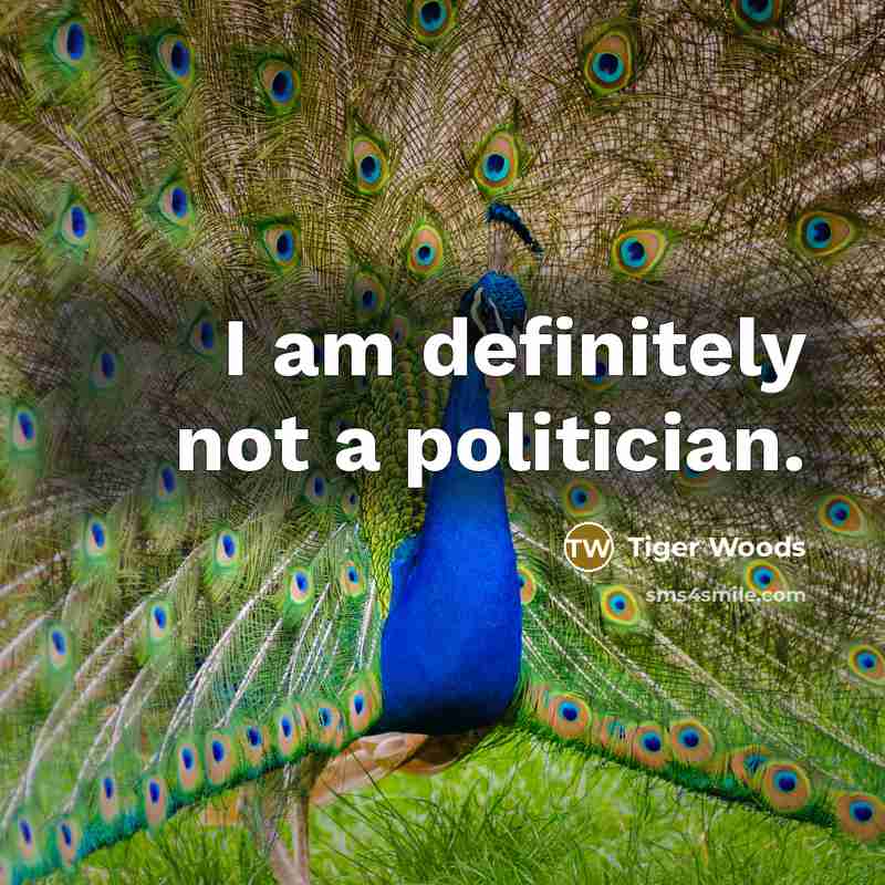 “I am definitely not a politician.…” quote by Tiger Woods