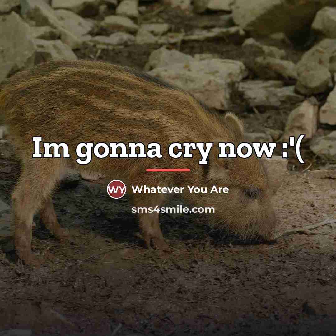 “Im gonna cry now :'(…” quote by Whatever You Are