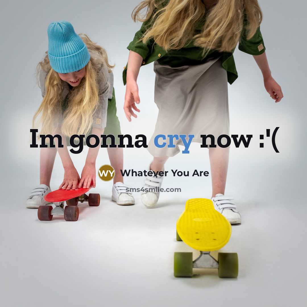 “Im gonna cry now :'(” quote by Whatever You Are