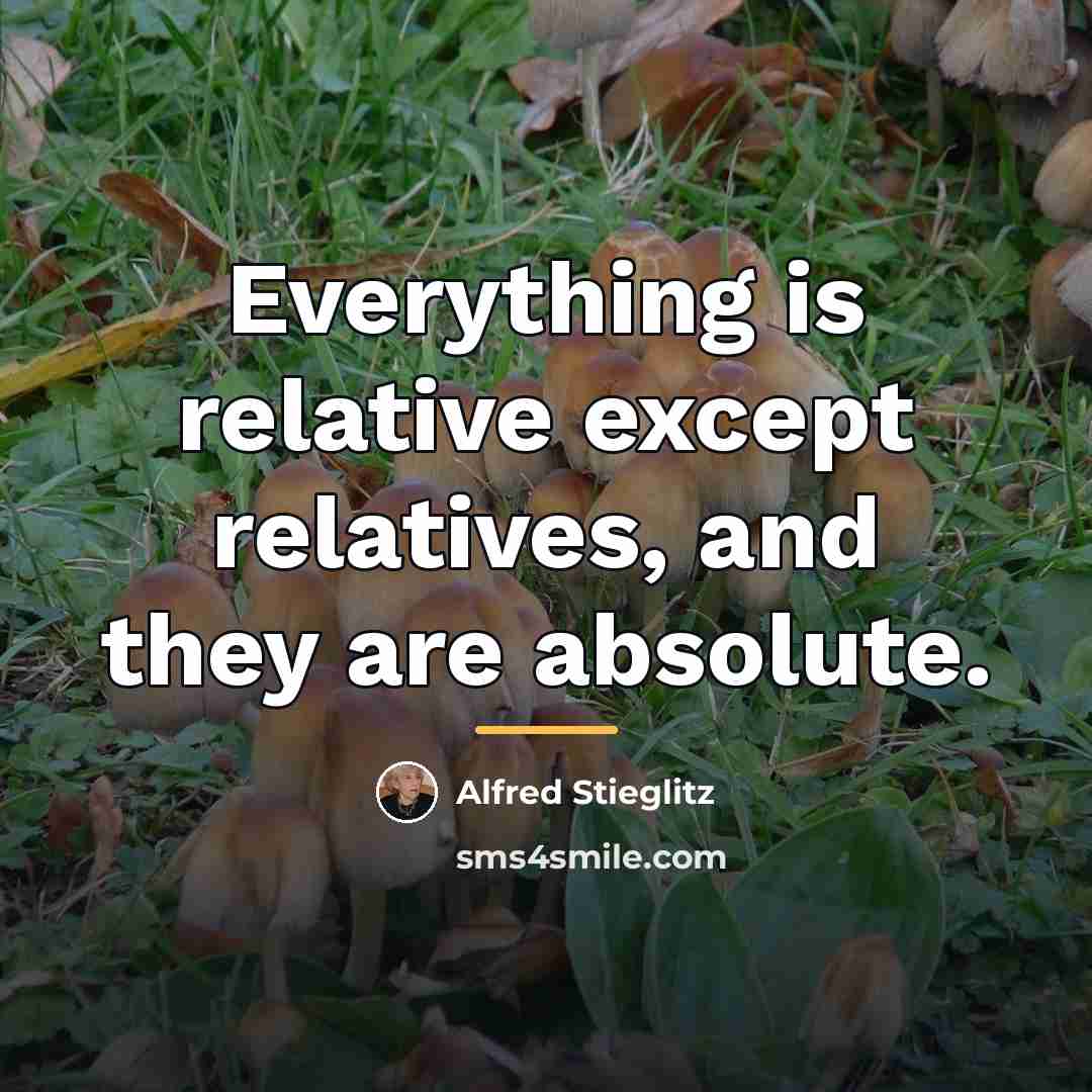 “Everything is relative except relatives, and they are absolute.…” quote by Alfred Stieglitz