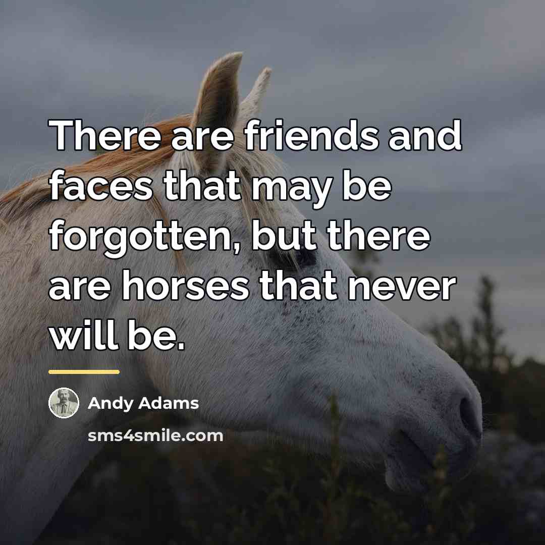 “There are friends and faces that may be forgotten, but…” quote by Andy Adams