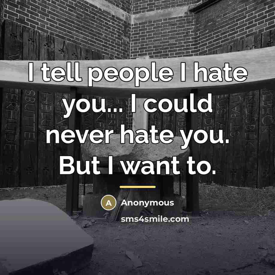 “I tell people I hate you... I could never hate…” quote by Anonymous