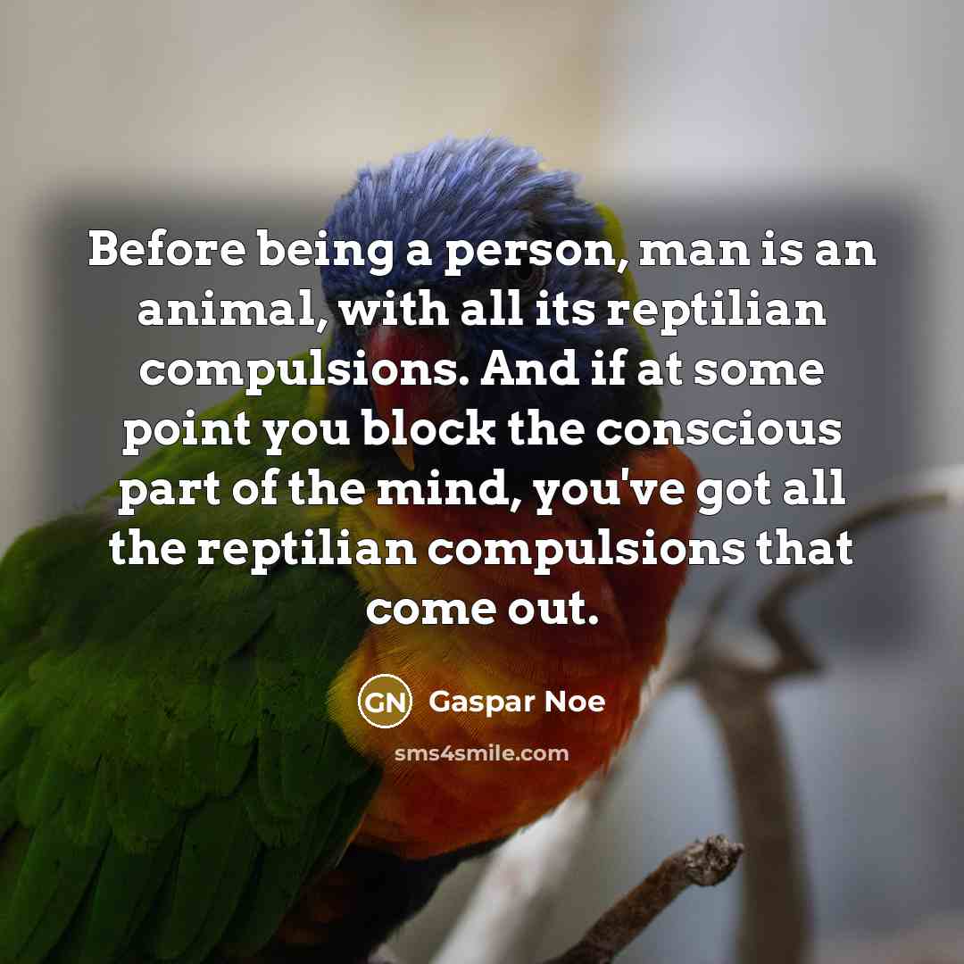 “Before being a person, man is an animal, with all…” quote by Gaspar Noe