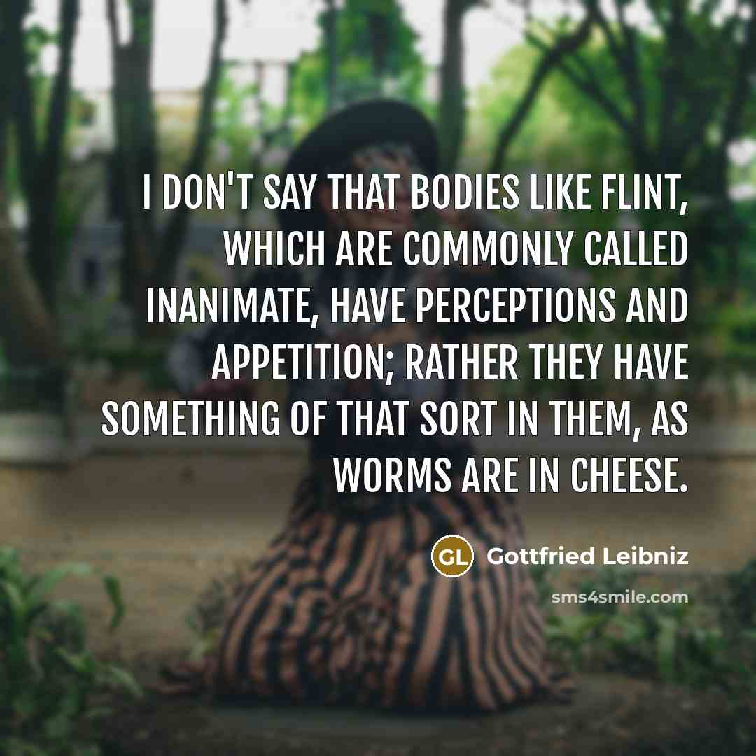 “I don't say that bodies like flint, which are commonly…” quote by Gottfried Leibniz