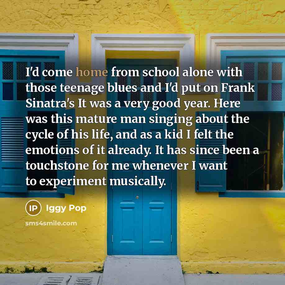 “I'd come home from school alone with those teenage blues…” quote by Iggy Pop