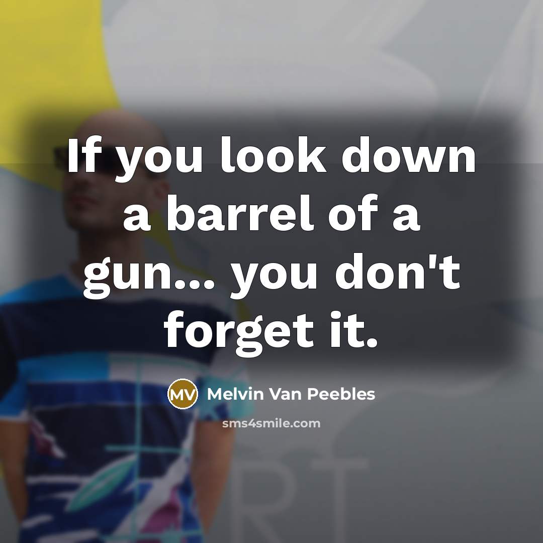 “If you look down a barrel of a gun... you…” quote by Melvin Van Peebles
