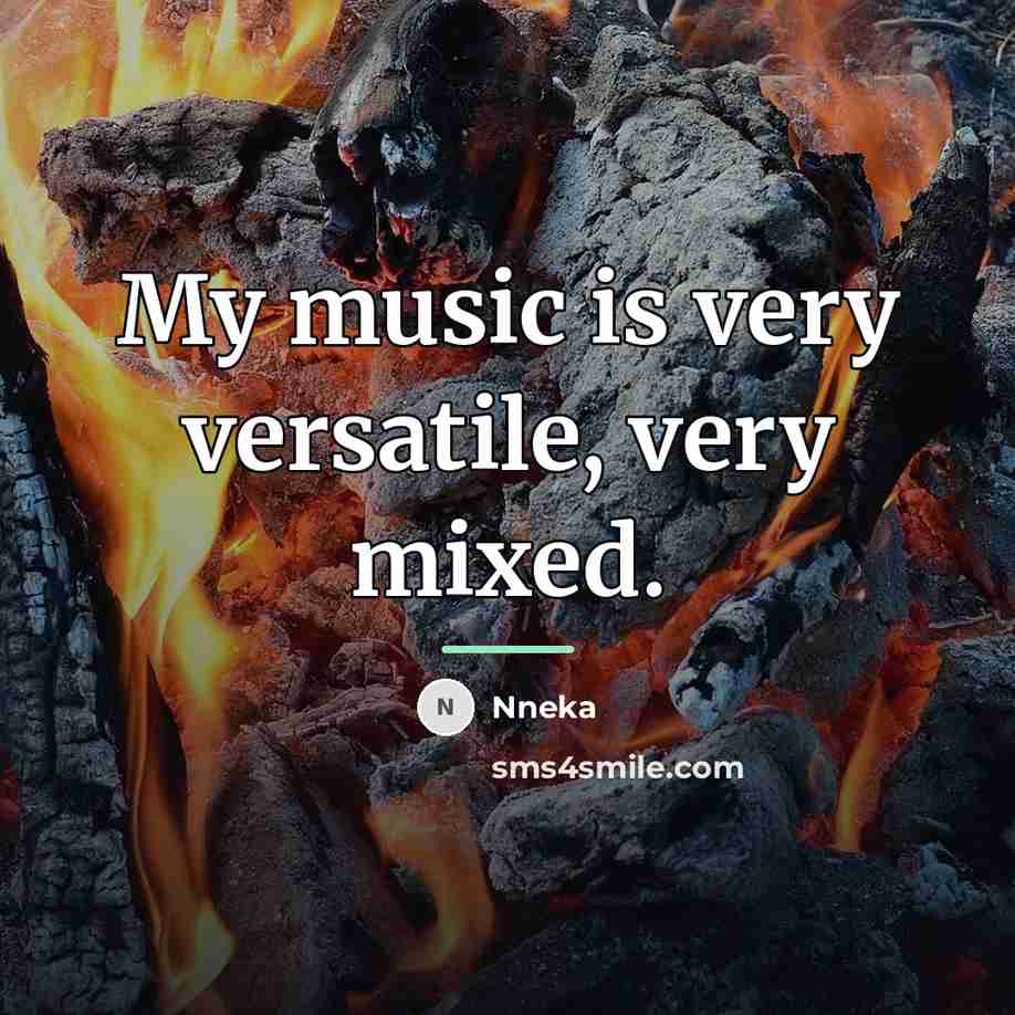 “My music is very versatile, very mixed.…” quote by Nneka
