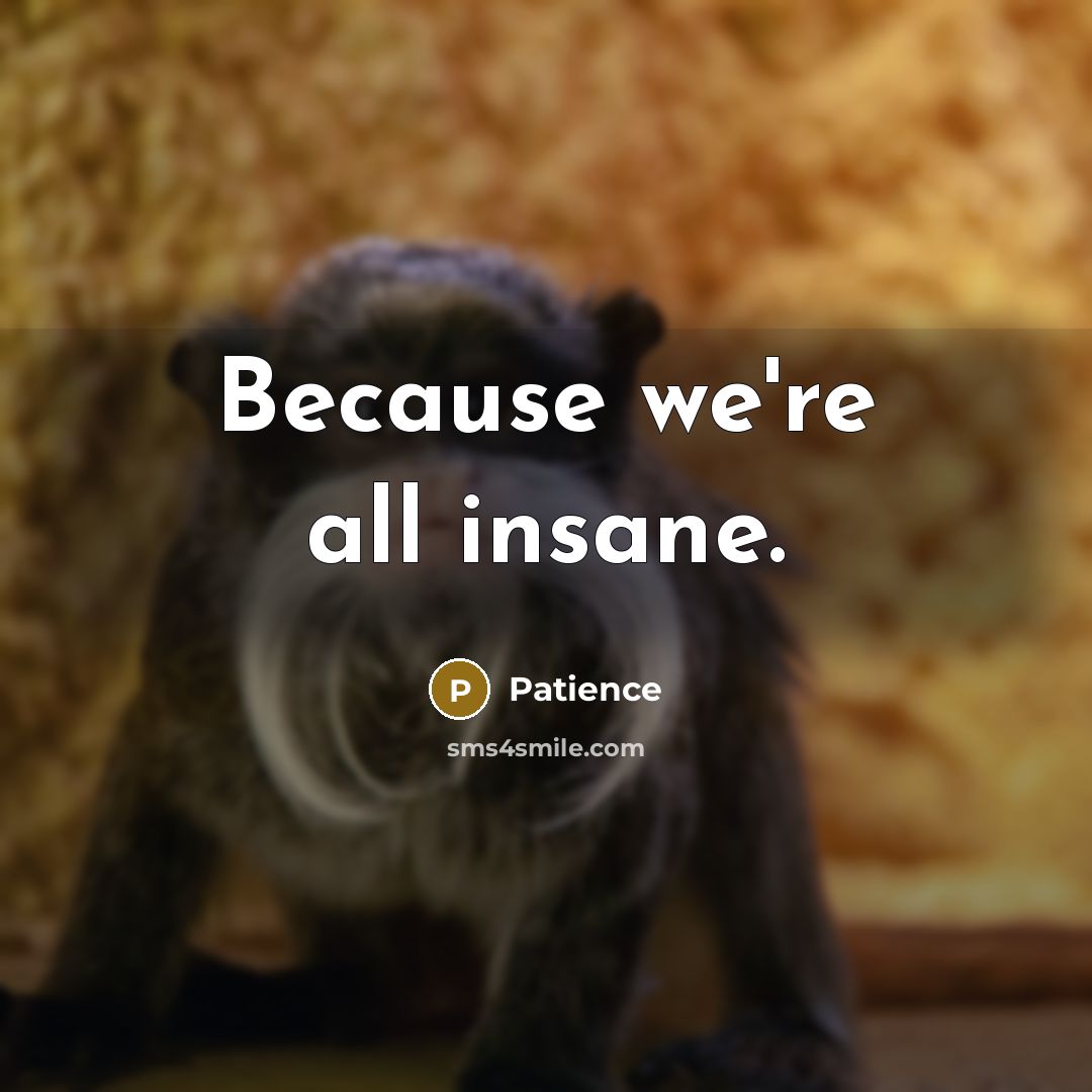 “Because we're all insane.” quote by Patience
