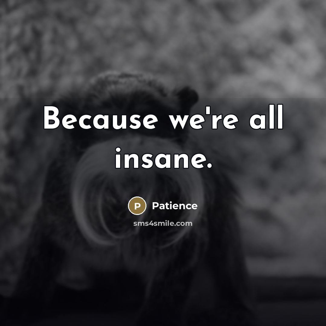 “Because we're all insane.…” quote by Patience