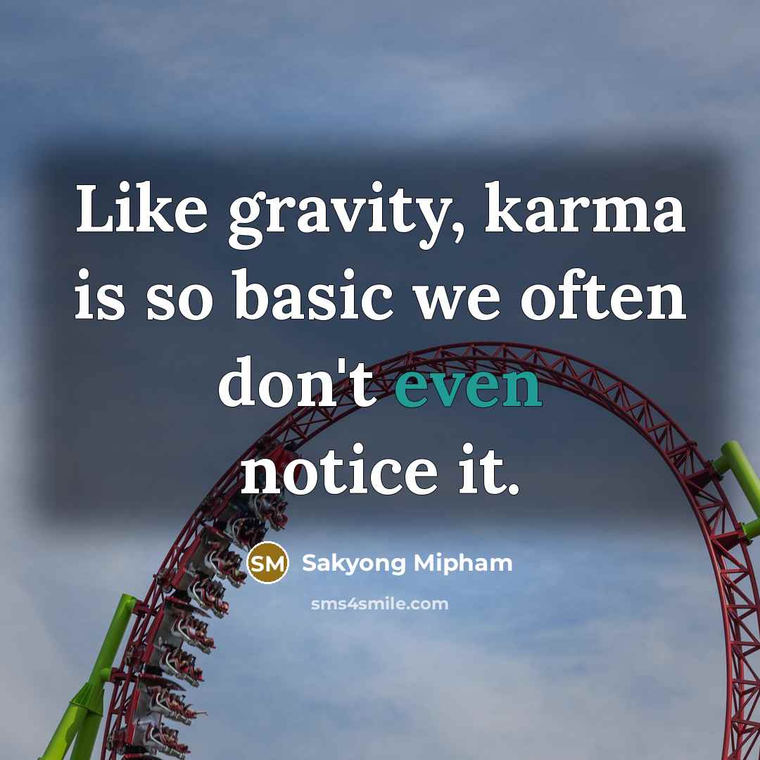 “Like gravity, karma is so basic we often don't even notice it.” quote by Sakyong Mipham