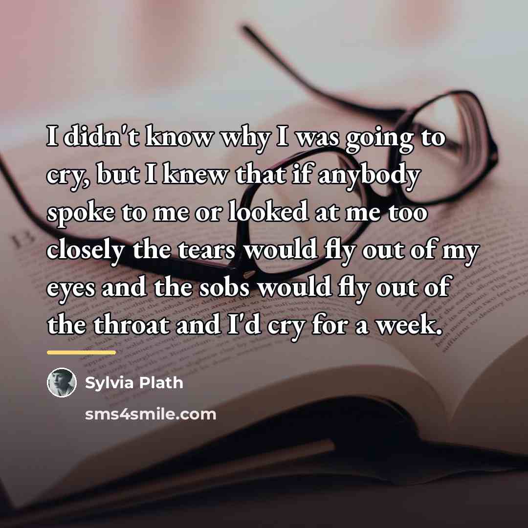 “I didn't know why I was going to cry, but…” quote by Sylvia Plath