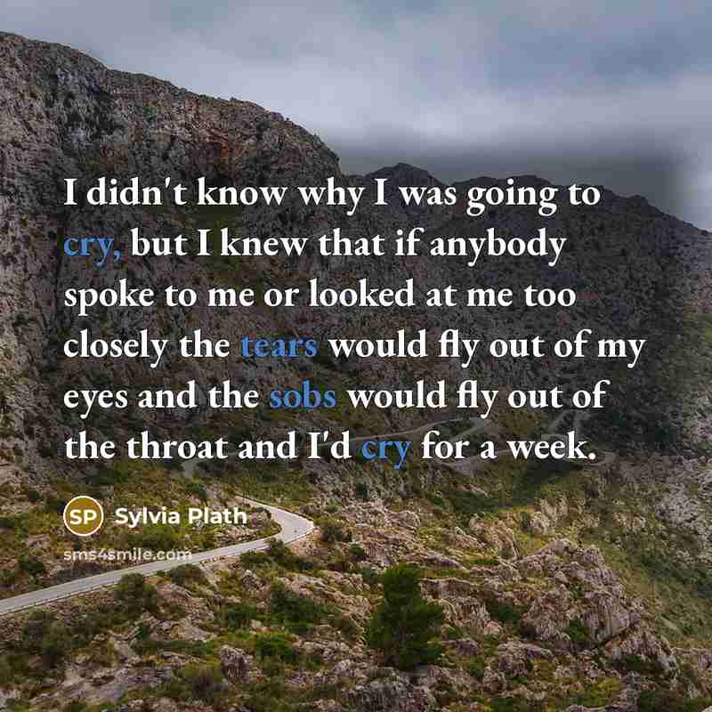 “I didn't know why I was going to cry, but I knew that if anybody spoke to me or looked at me too closely the tears would fly out of my eyes and the sobs would fly out of the throat and I'd cry for a week.” quote by Sylvia Plath
