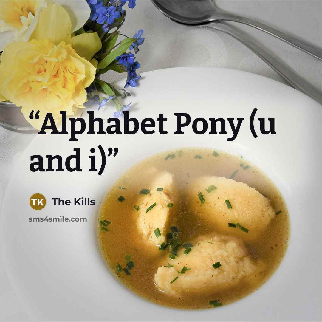 “Alphabet Pony (u and i)” quote by The Kills