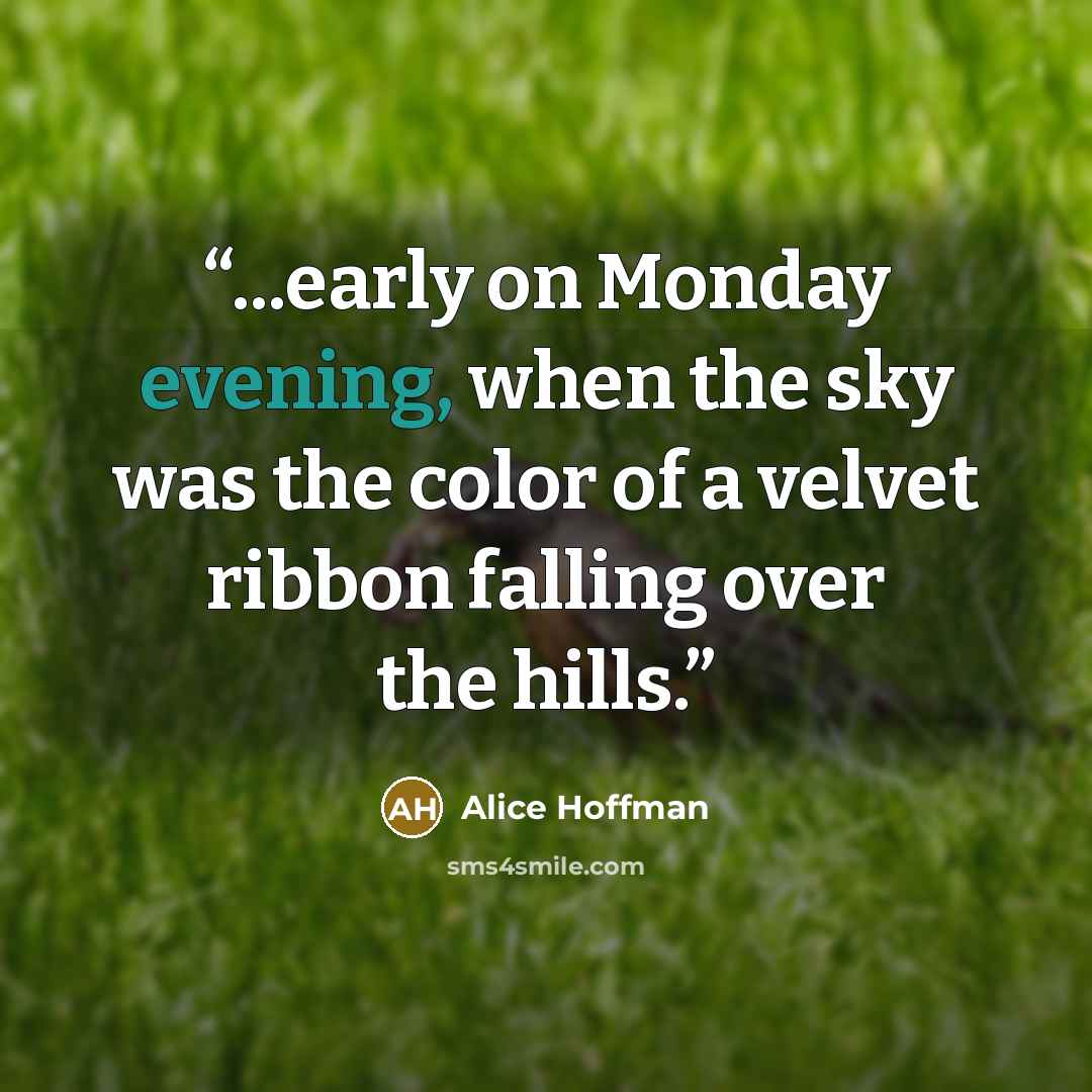 “...early on Monday evening, when the sky was the color of a velvet ribbon falling over the hills.” quote by Alice Hoffman