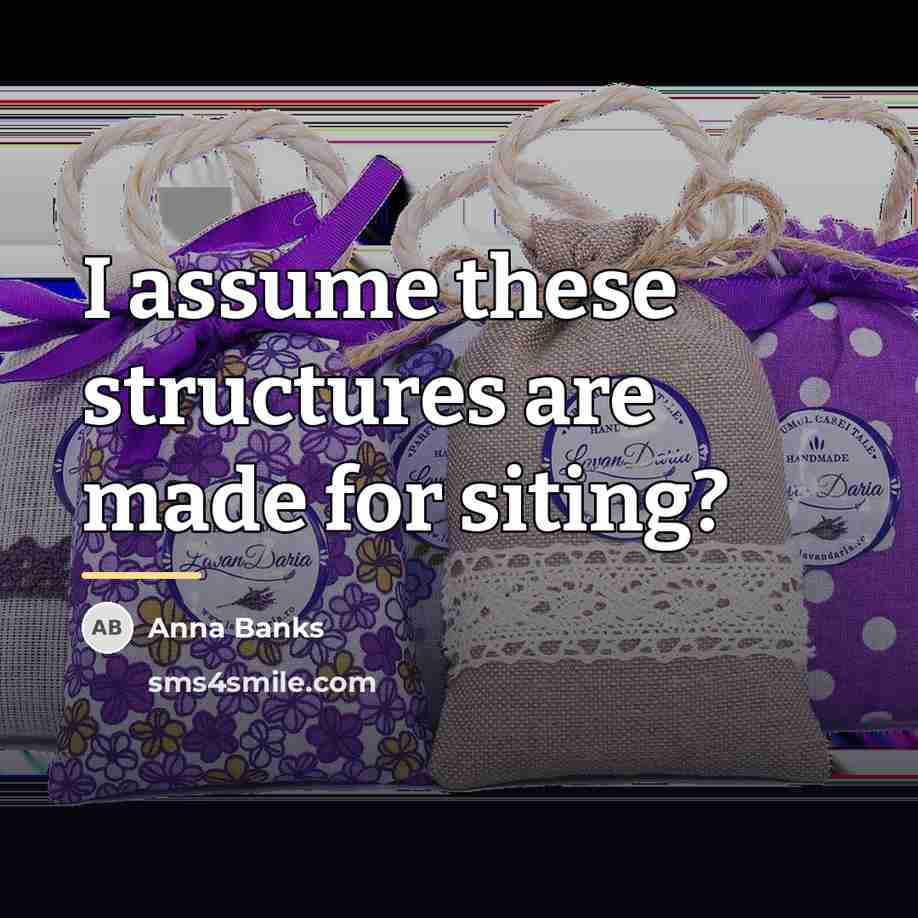 “I assume these structures are made for siting?…” quote by Anna Banks
