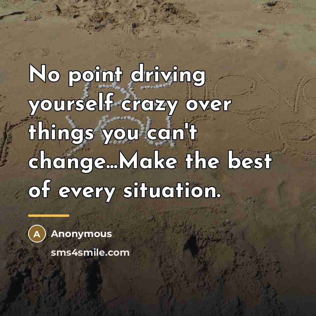 “No point driving yourself crazy over things you can't change...Make…” quote by Anonymous