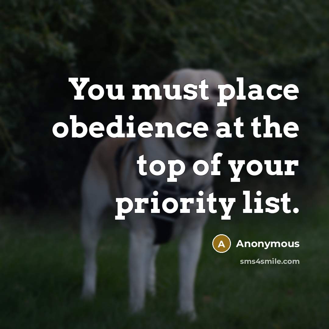 “You must place obedience at the top of your priority…” quote by Anonymous