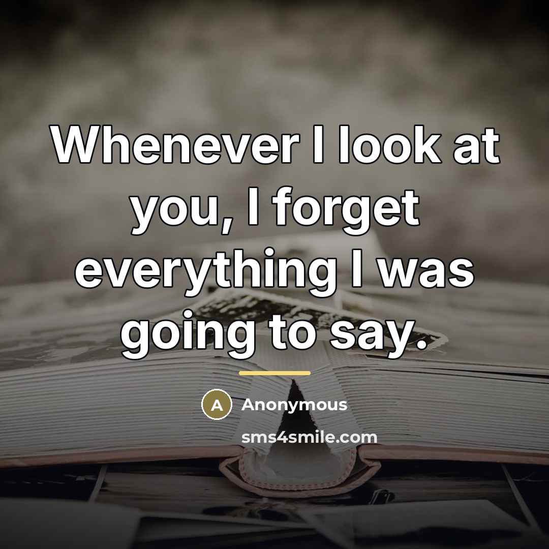 “Whenever I look at you, I forget everything I was…” quote by Anonymous