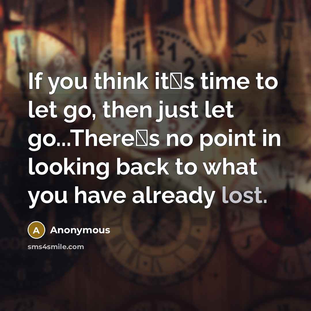 “If you think it�s time to let go, then just let go...There�s no point in looking back to what you have already lost.” quote by Anonymous