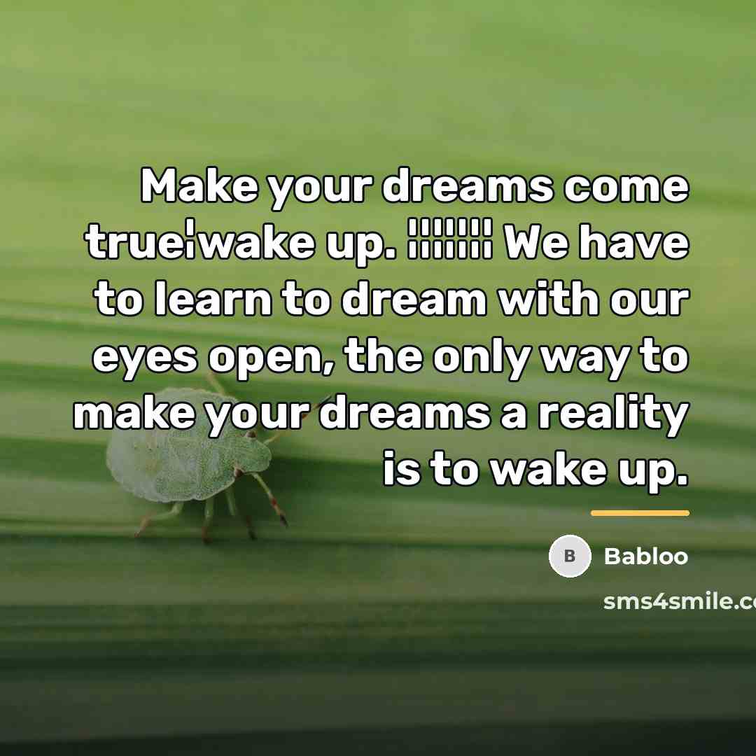 “Make your dreams come true¦wake up. ¦¦¦¦¦¦¦ We have to…” quote by Babloo
