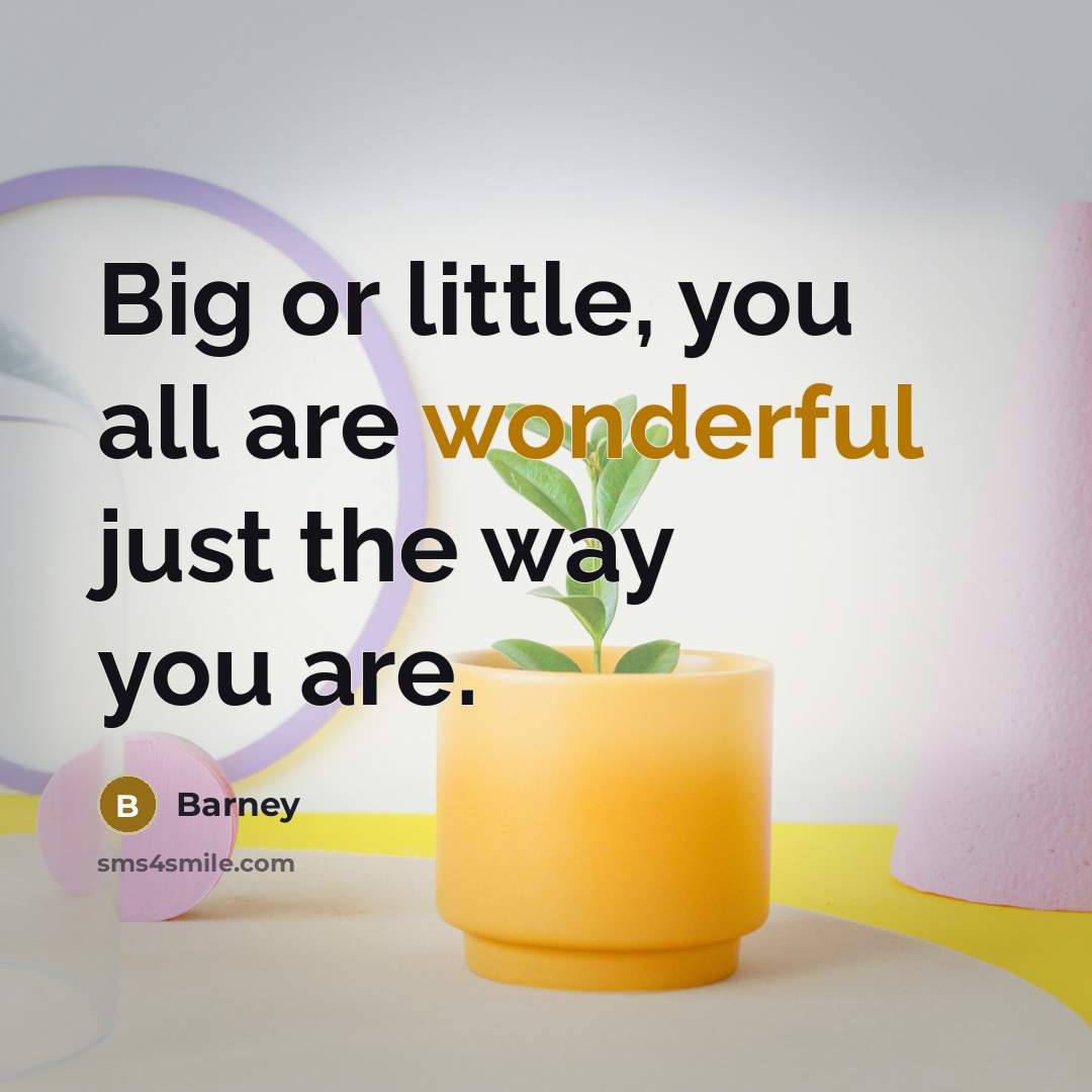 “Big or little, you all are wonderful just the way you are.” quote by Barney