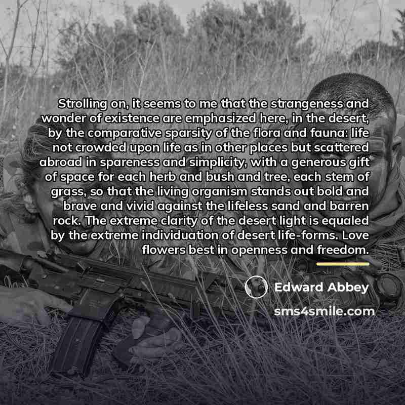 “Strolling on, it seems to me that the strangeness and…” quote by Edward Abbey