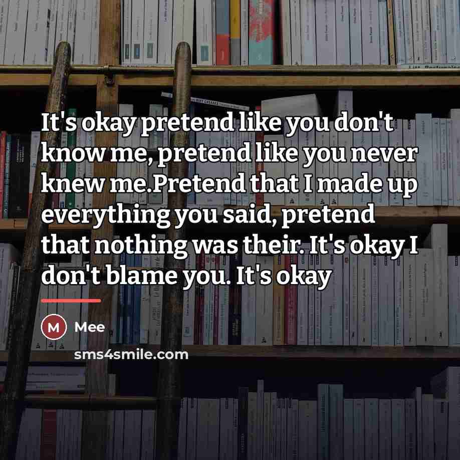 “It's okay pretend like you don't know me, pretend like…” quote by Mee