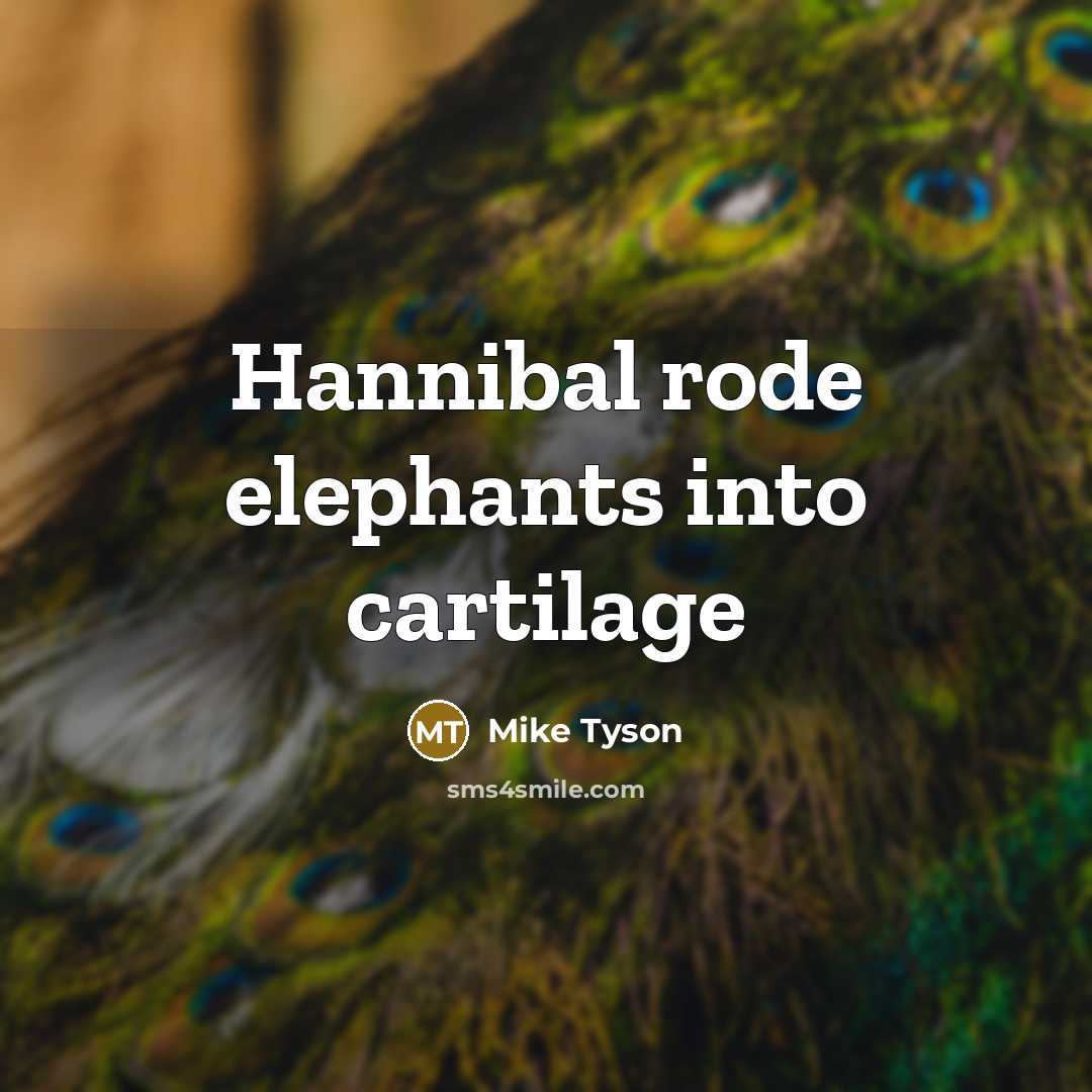 “Hannibal rode elephants into cartilage” quote by Mike Tyson