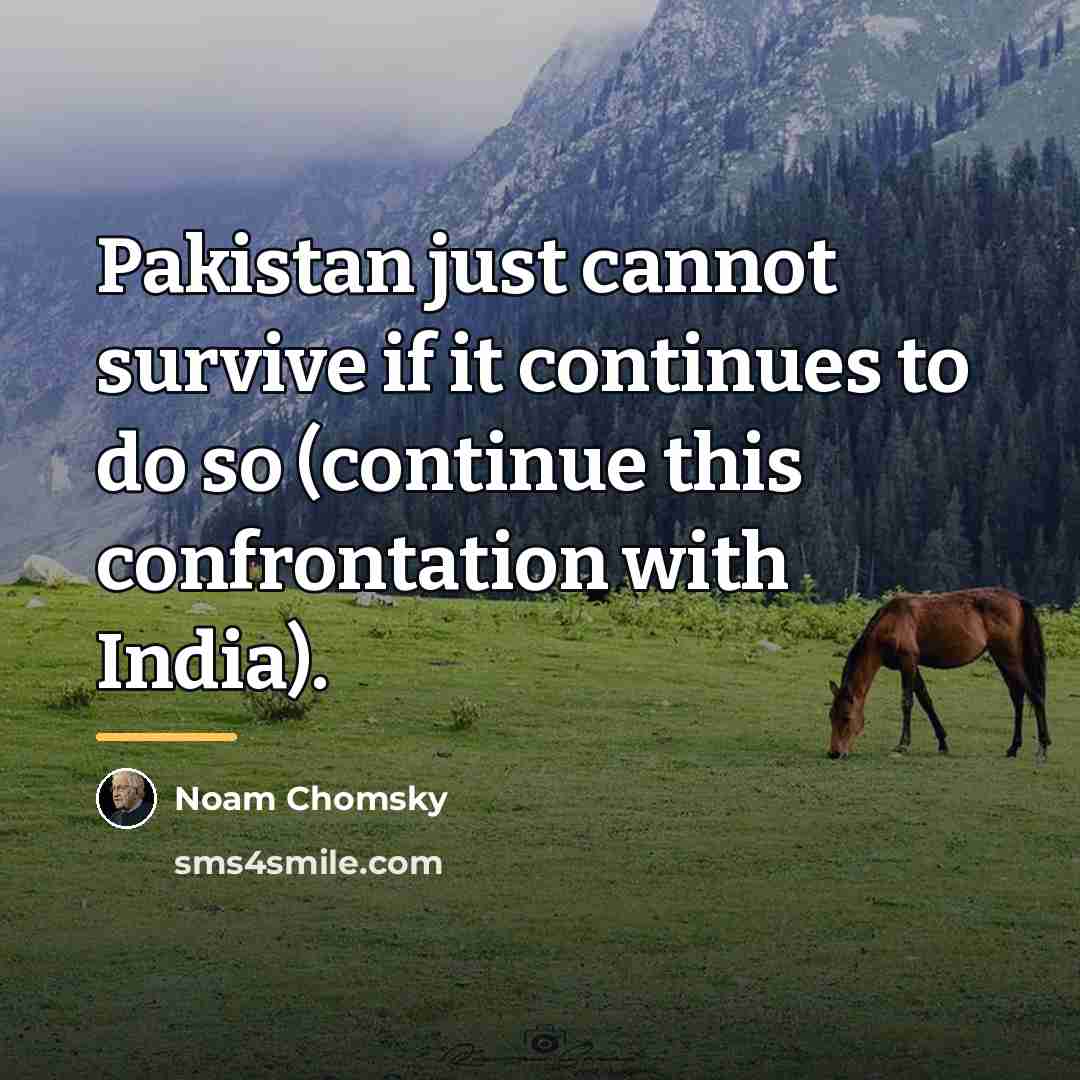“Pakistan just cannot survive if it continues to do so…” quote by Noam Chomsky