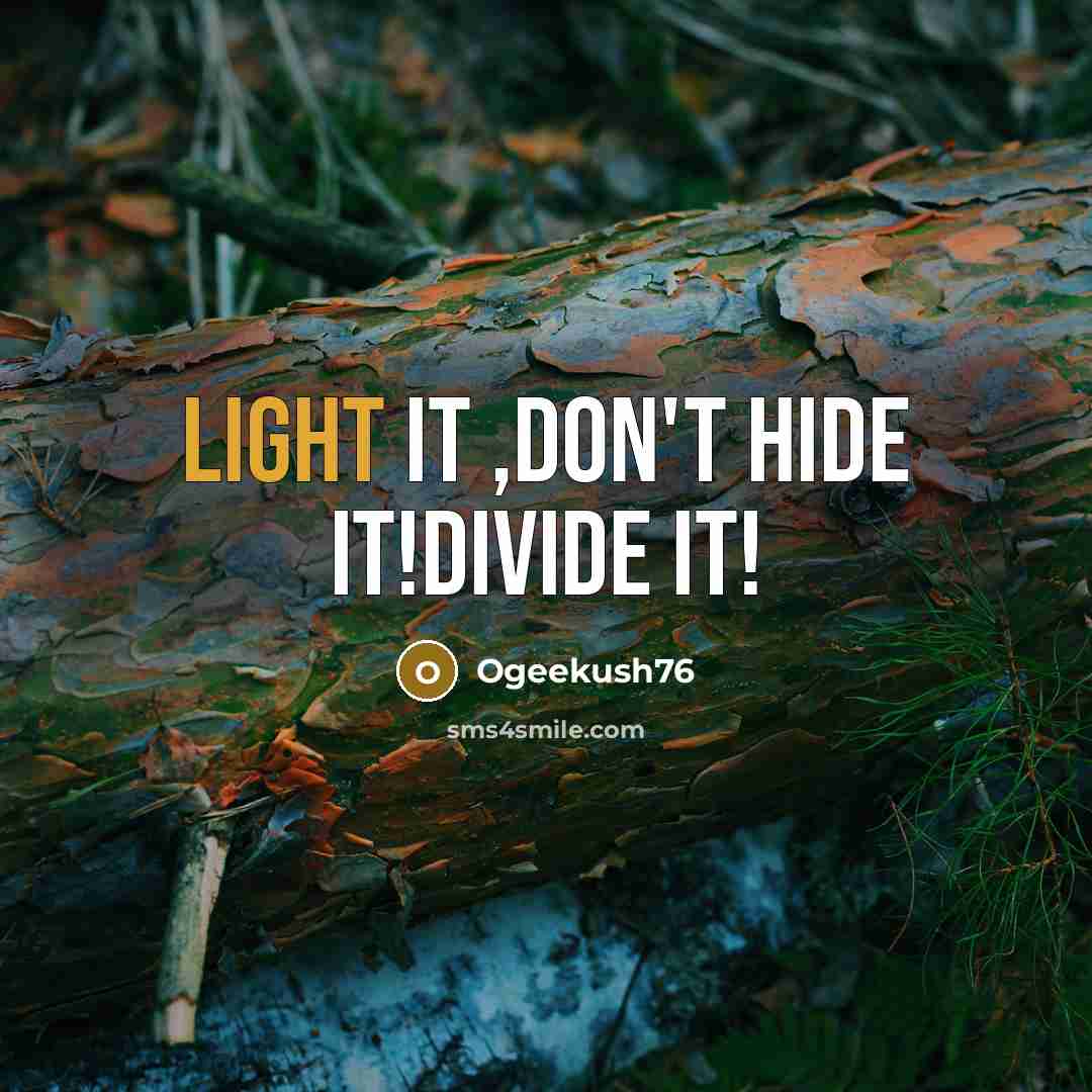 “Light it ,don't hide it!divide it!” quote by Ogeekush76