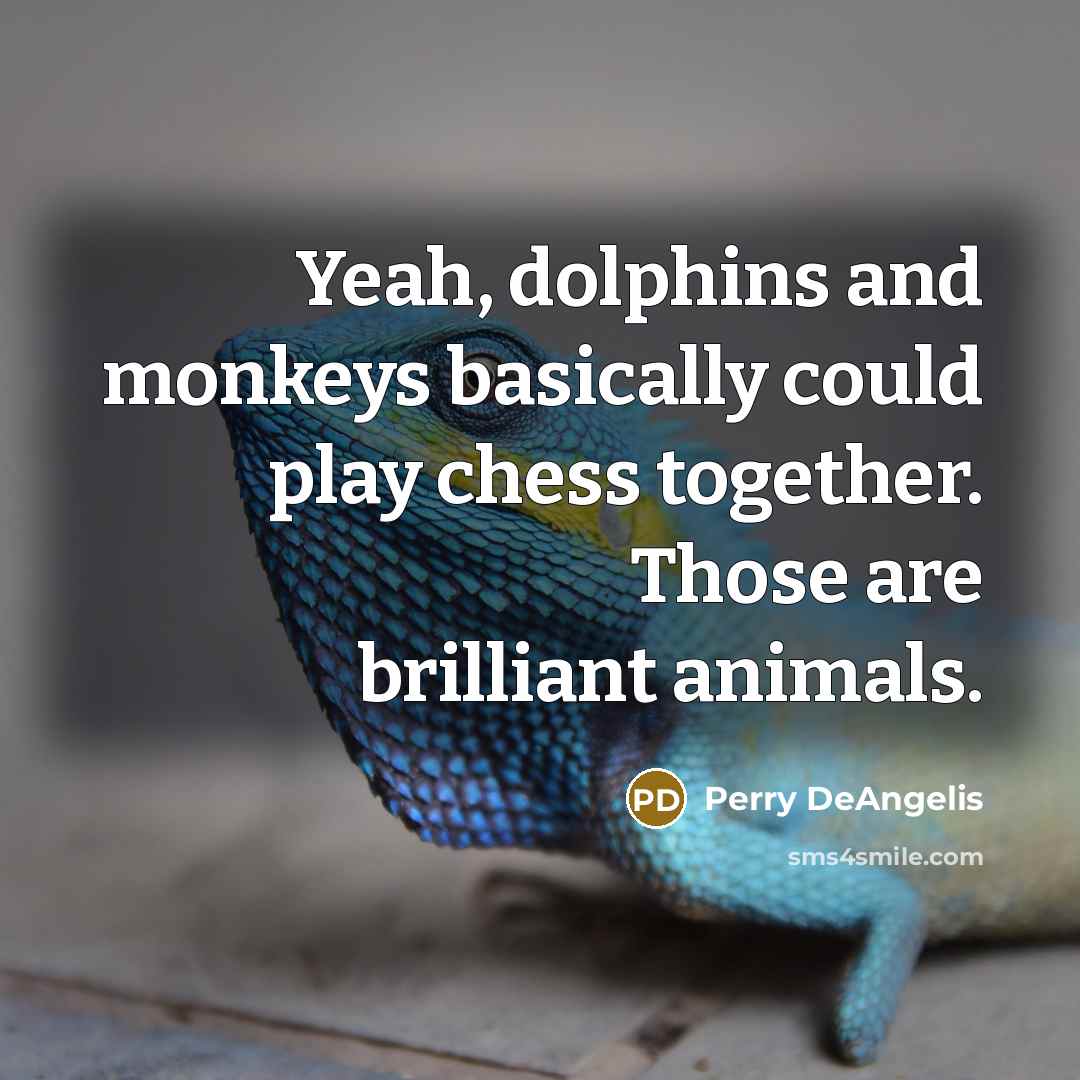 “Yeah, dolphins and monkeys basically could play chess together. Those…” quote by Perry DeAngelis