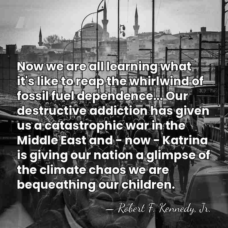 Now we are all learning what it's like to reap the whirlwind&hellip; - Robert F. Kennedy, Jr.