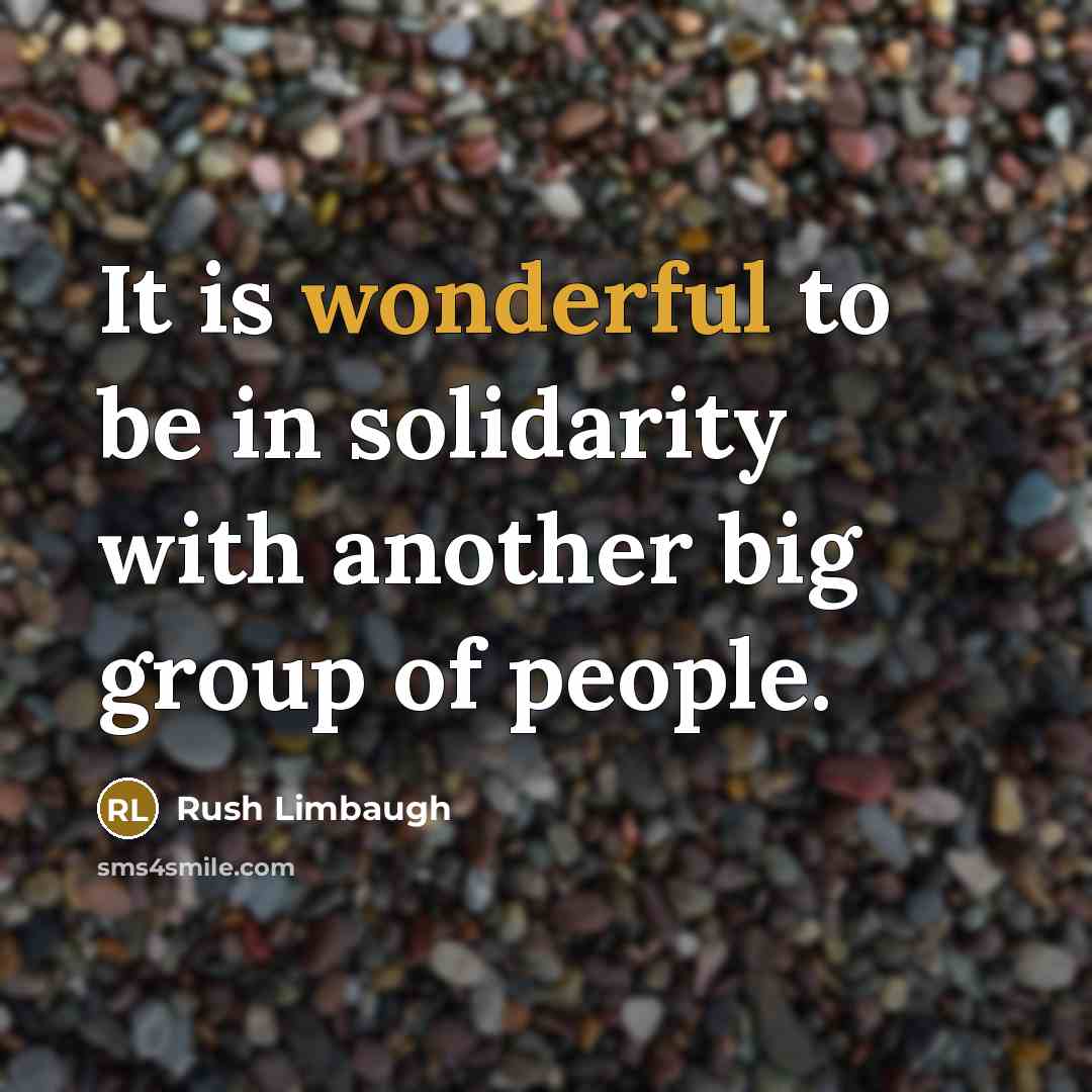 “It is wonderful to be in solidarity with another big…” quote by Rush Limbaugh