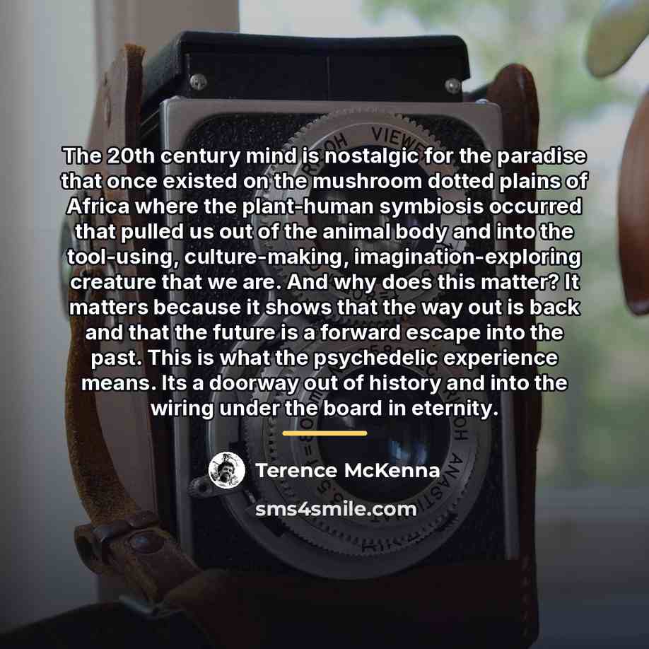 “The 20th century mind is nostalgic for the paradise that…” quote by Terence McKenna