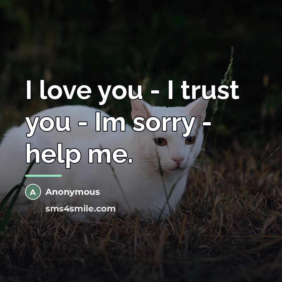 “I love you - I trust you - Im sorry…” quote by Anonymous