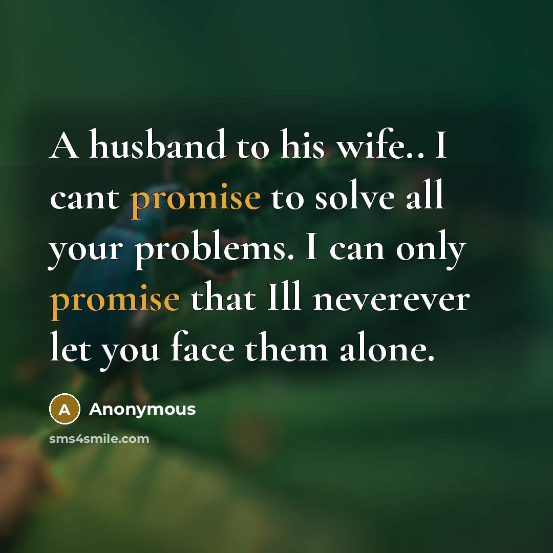 “A husband to his wife.. I cant promise to solve…” quote by Anonymous