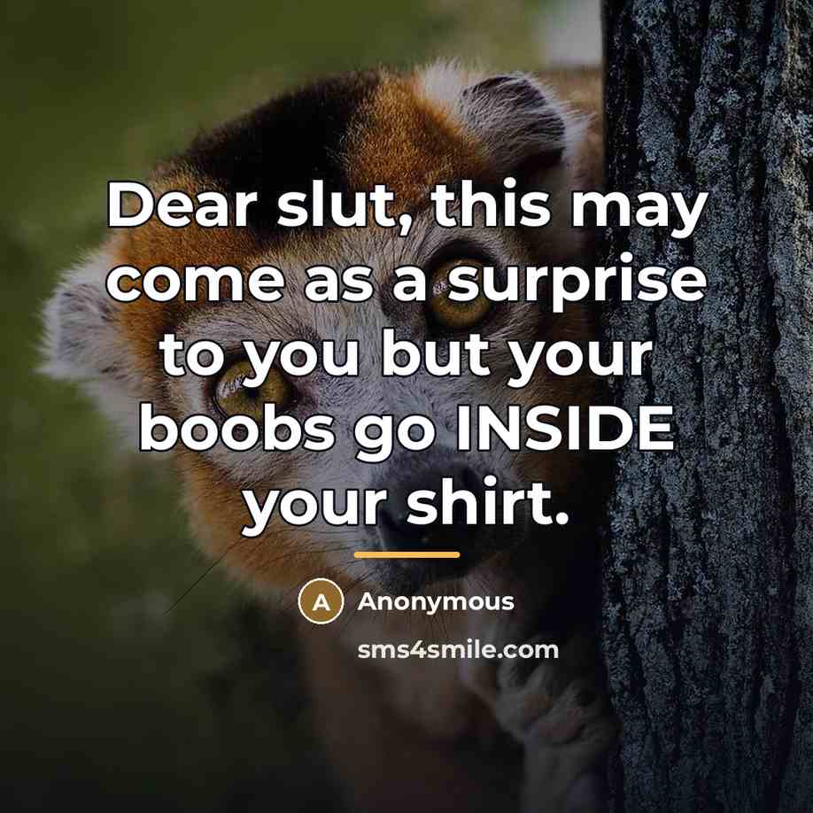 “Dear slut, this may come as a surprise to you…” quote by Anonymous