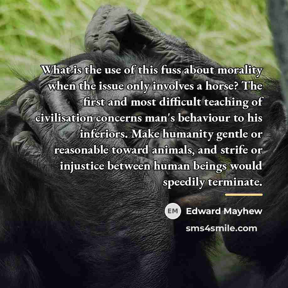 “What is the use of this fuss about morality when…” quote by Edward Mayhew