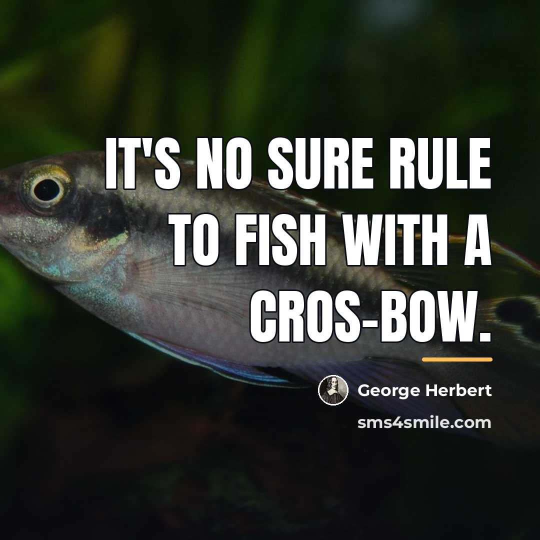“It's no sure rule to fish with a cros-bow.…” quote by George Herbert