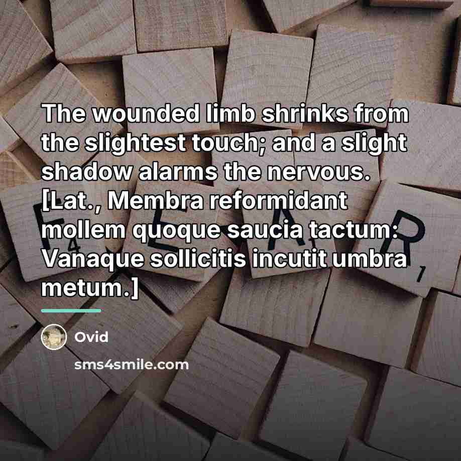 “The wounded limb shrinks from the slightest touch; and a…” quote by Ovid